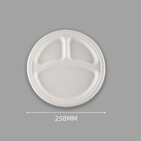 10 inch Bagasse plates 3-compartment