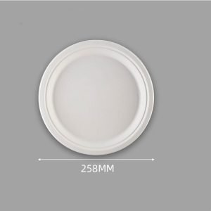 10 inch Bagasse plates